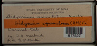 Image Associated With the Occurence